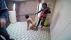 Female Dog Training By Shemale