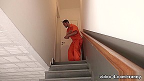 Fernanda Moraes in Trans Newbie Fucks Intruder Deep in His Ass – DreamTranny
