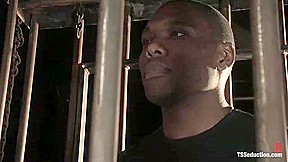 Don’t Ask, Don’t Tell – Just Suck It. – Kink