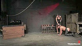 The New Pet – Kink