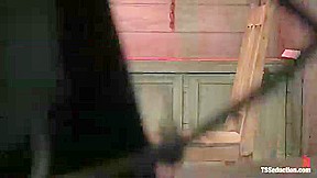 Yasmin Lee, Natassia Dream & Lobo – Kink