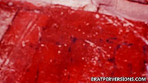 Faberotica: Trans BDSM – Brat Perversions