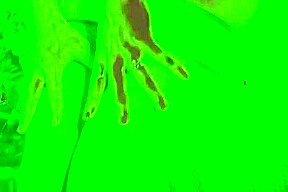 Latina Tranny Carolina Takes It Anal