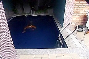 Sexy Tranny and Horny Girl Seduce a Guy at the Pool